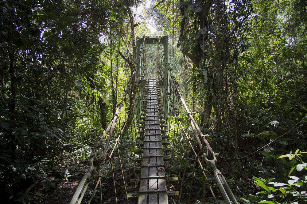 Taman Nasional Gunung Mulu (commons.wikimedia.org/Luke Price)