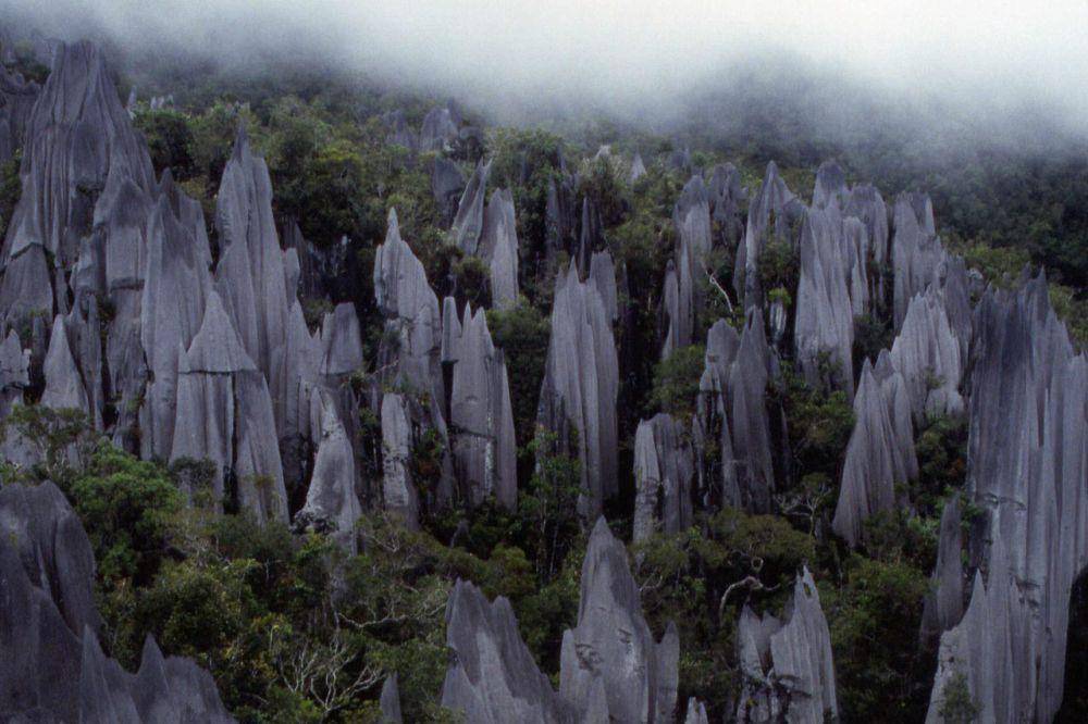 Taman Nasional Gunung Mulu (commons.wikimedia.org/Slimguy)
