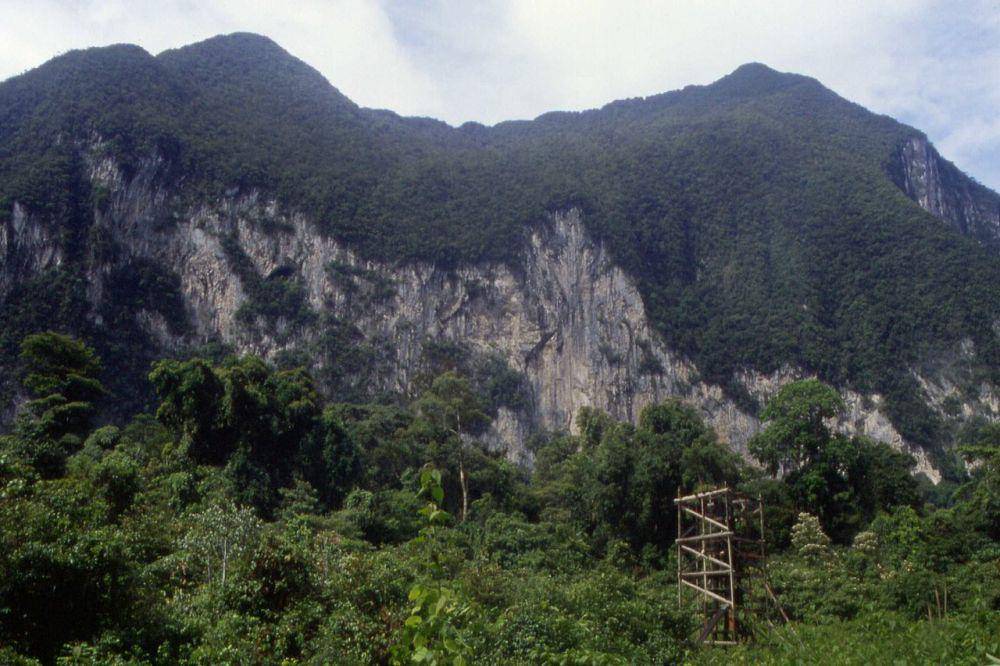 Taman Nasional Gunung Mulu (commons.wikimedia.org/Slimguy)