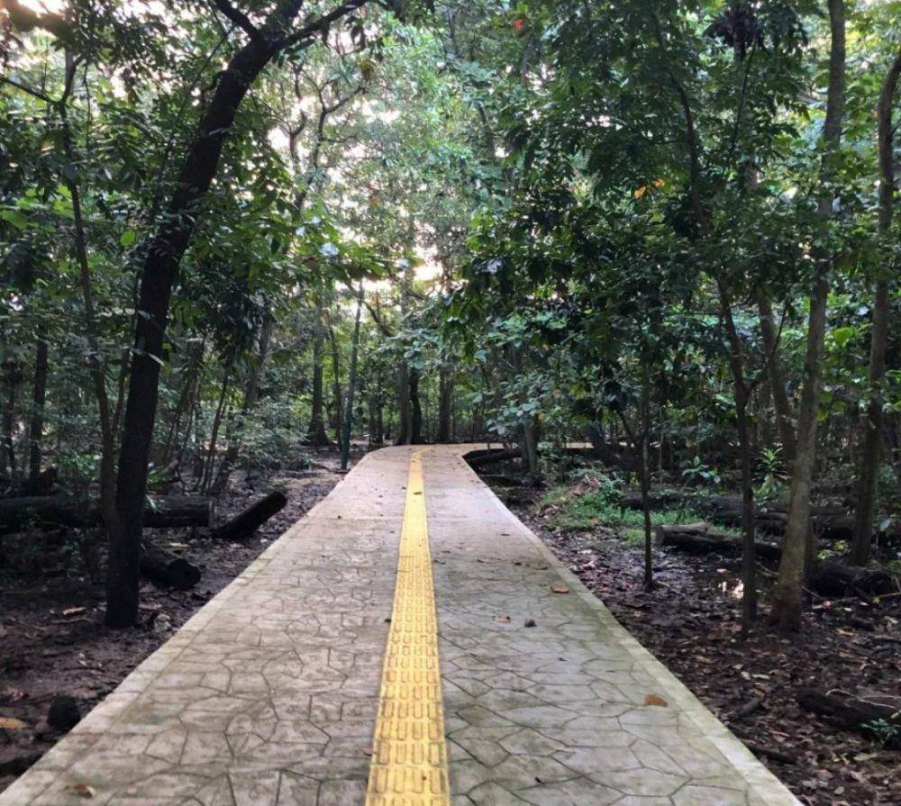 Hutan Kota Srengseng (instagram.com/temantaman.jkt)