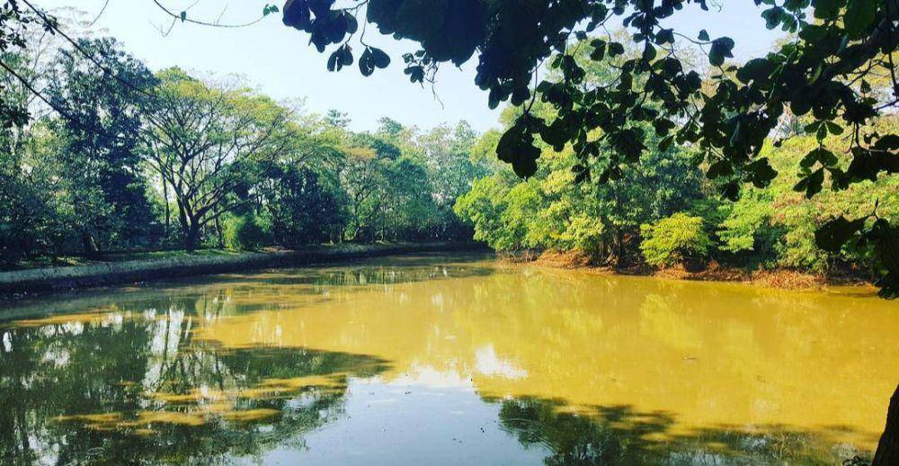 Hutan Kota Srengseng (instagram.com/yudiars)