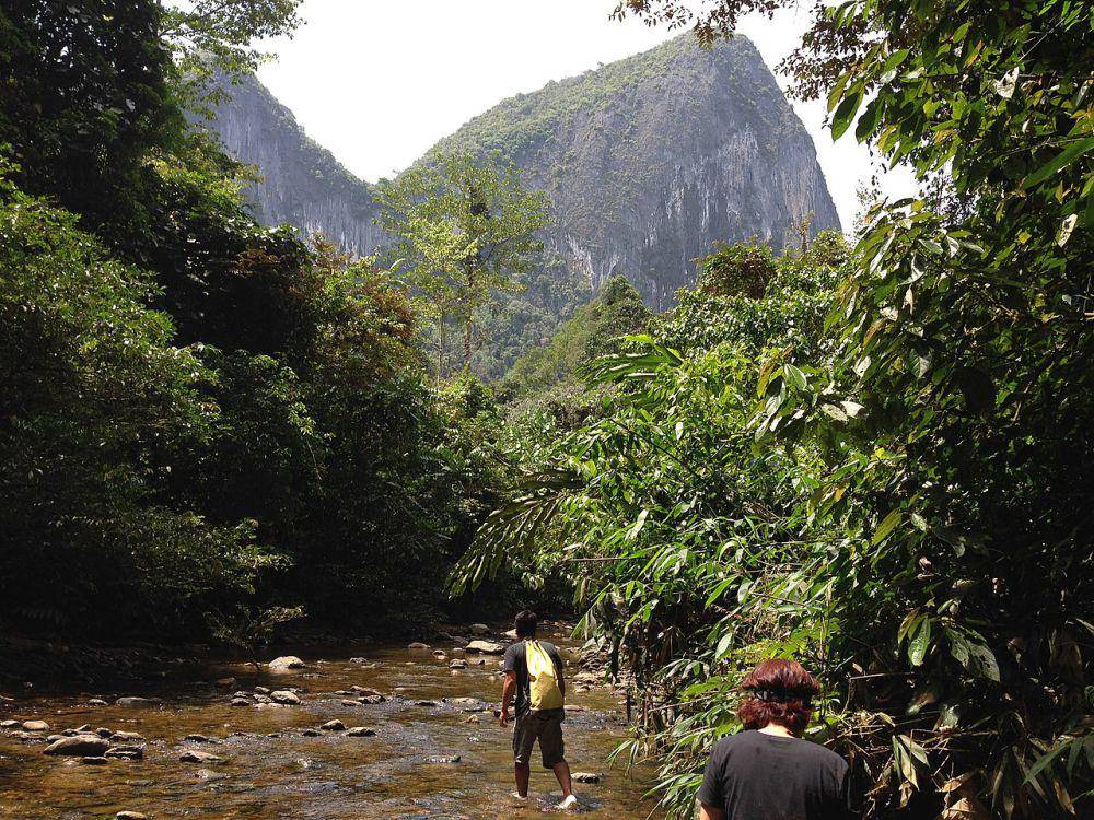 Taman Nasional Gunung Mulu (commons.wikimedia.org/William Shen)