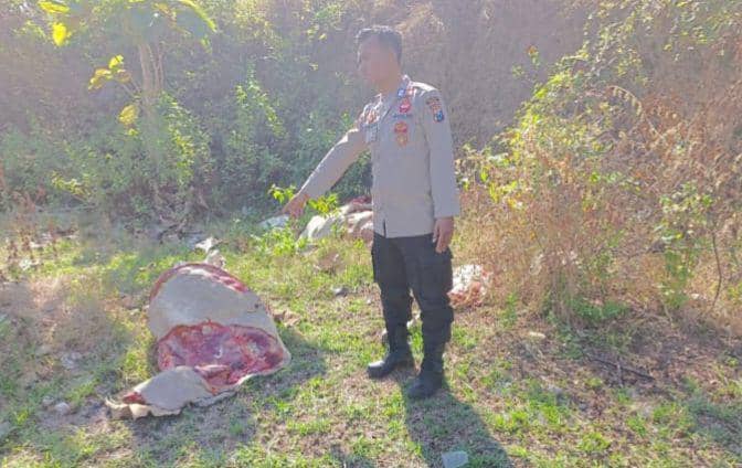 Polisi ungkap penyebab sapi ditemukan warga terpotong-potong. Dok Istimewa