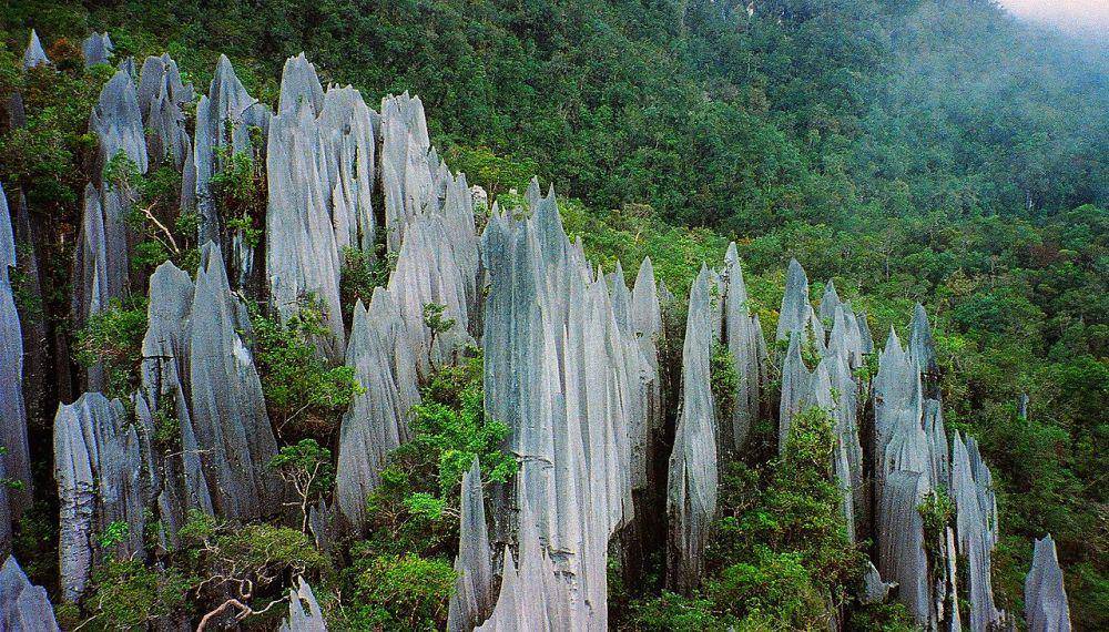Taman Nasional Gunung Mulu (commons.wikimedia.org/Paul White)