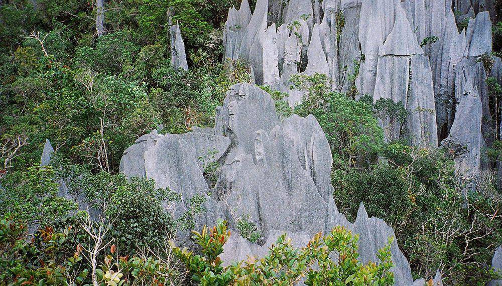 Taman Nasional Gunung Mulu (commons.wikimedia.org/Paul White)