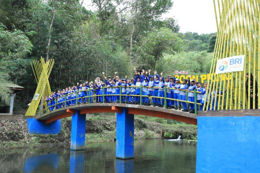 Pemetaan Masyarakat yang Berdaya Berkat Program Desa BRILian