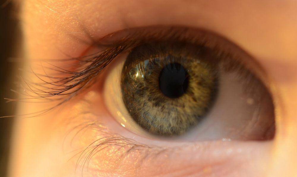 ilustrasi softlens (pexels.com/Skitterphoto)