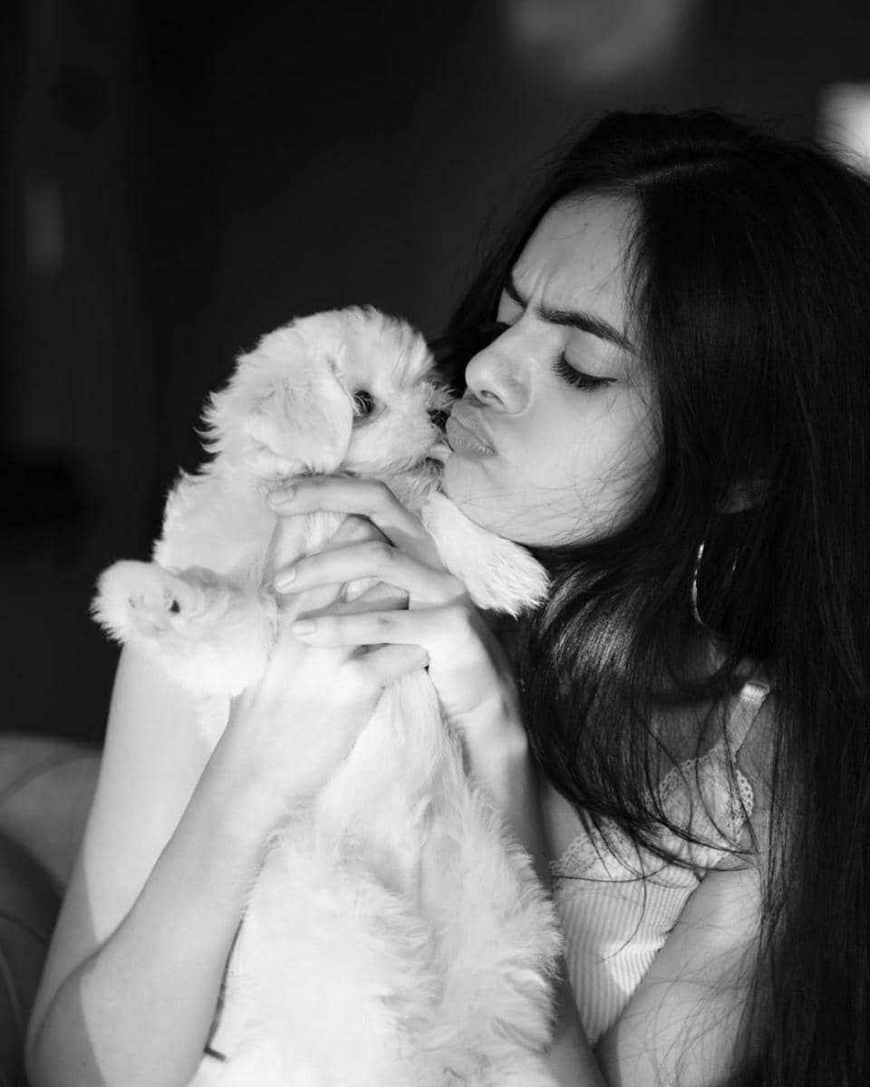 Ruhaanika Dhawan dan anjingnya (instagram.com/ruhaanikad)