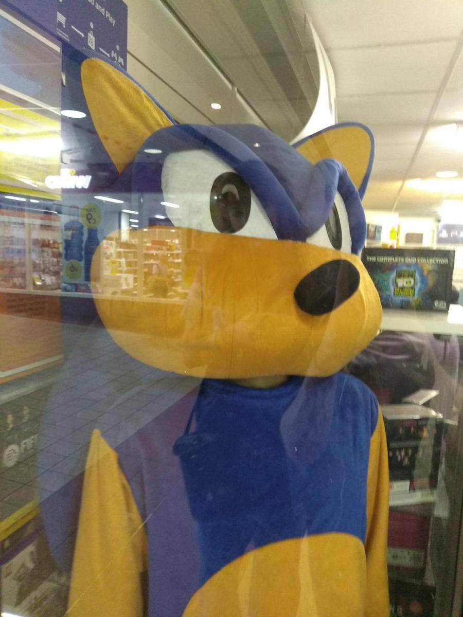potret objek bertema Sonic paling aneh (reddit.com/user/Jaffa_54)