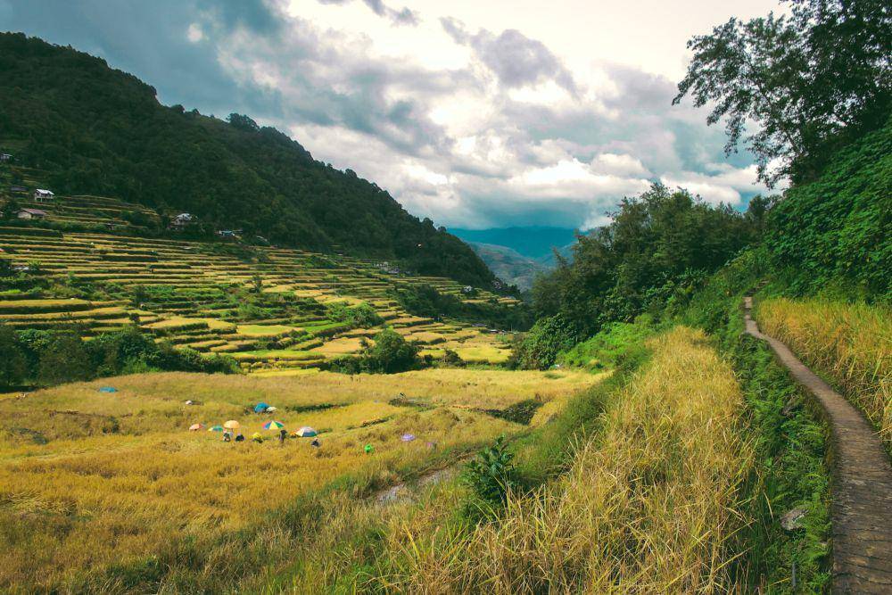 Banaue Rice Terraces (unsplash.com/AR)