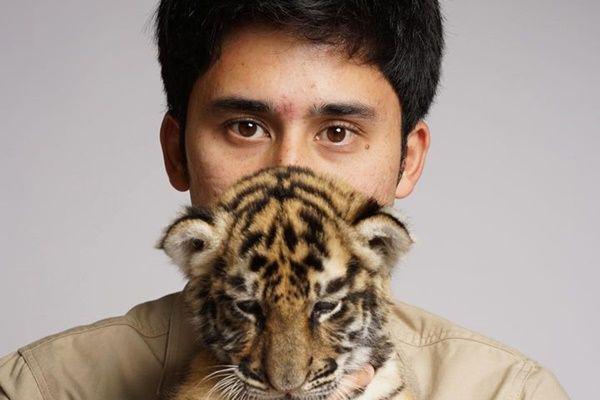 10 Momen Terakhir Cenora, Anak Harimau Alshad Ahmad yang Mati