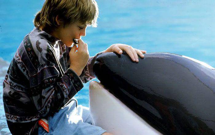 Free Willy (dok. Warner Bros / Free Willy)