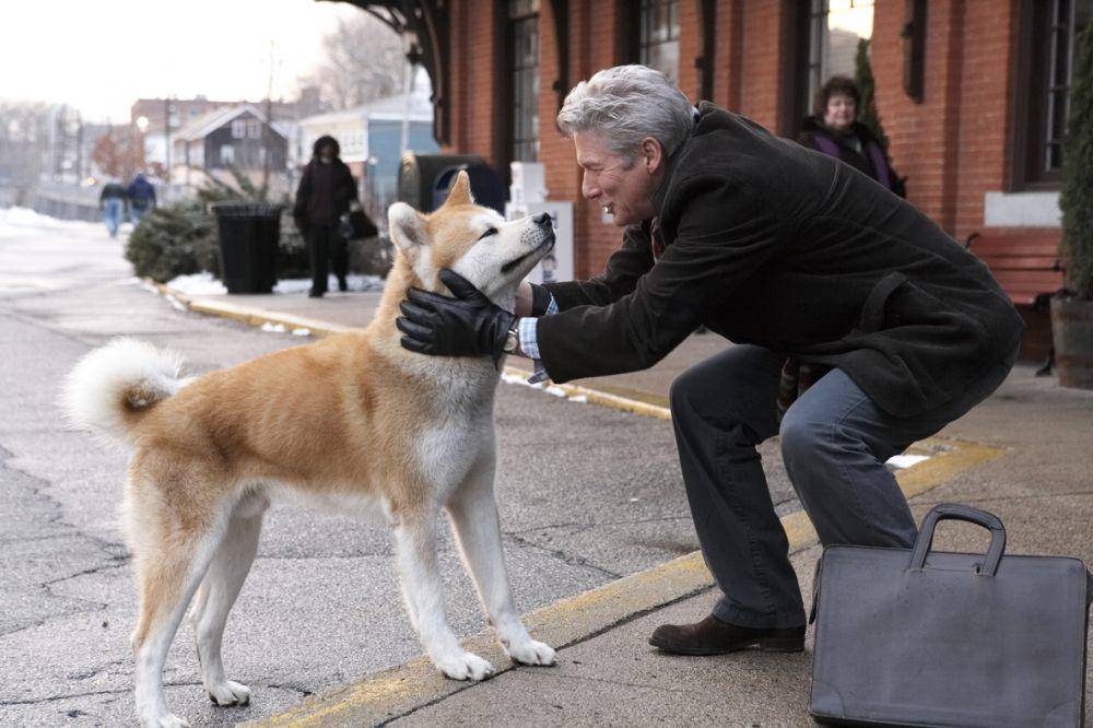 Hachi: A Dog's Tale (dok. Stage 6 Films / Hachi: A Dog's Tale)