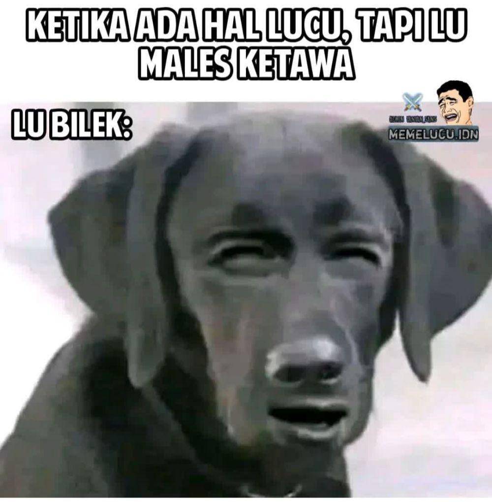 meme terpaksa tertawa (instagram.com/literasihumor)