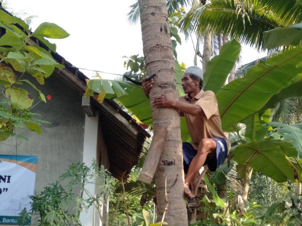 Penyadap nira pohon kelapa.(IDN Times/Daruwaskita)