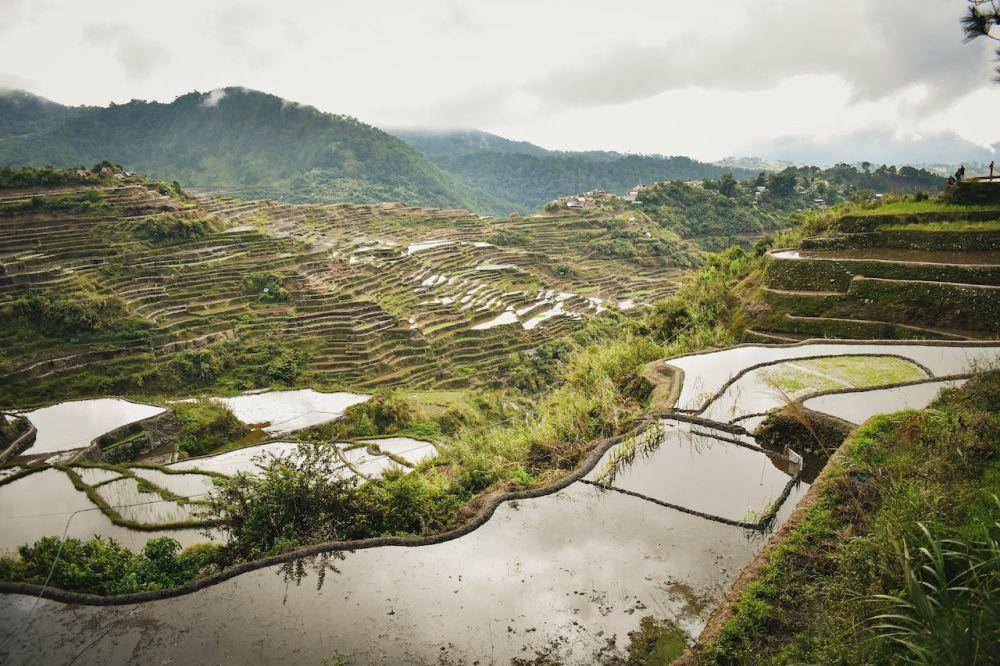 Banaue Rice Terraces (pexels.com/Darwin Frivaldo)