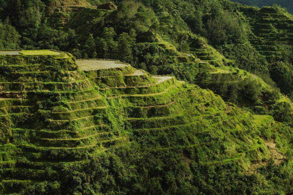 Banaue Rice Terraces (pexels.com/John Renzo Aledia)