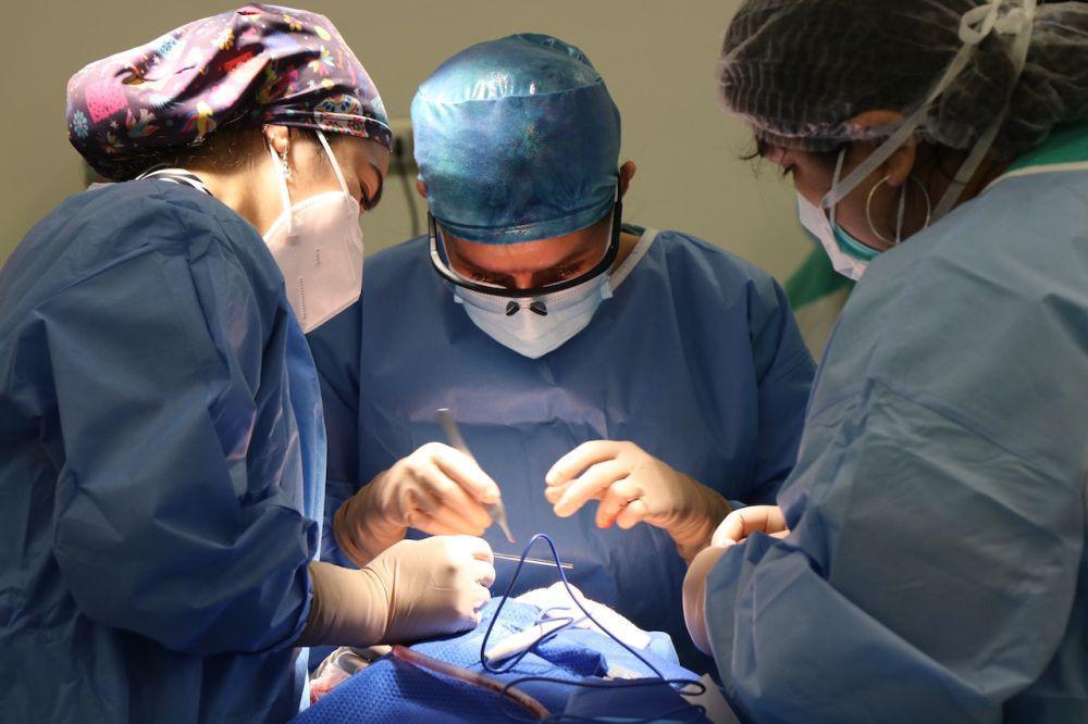 Mengenal Nefrektomi, Prosedur Medis Pengangkatan Ginjal
