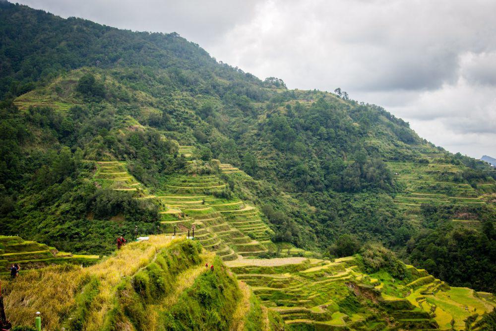 10 Potret Banaue Rice Terraces, Harta Karun Filipina yang Megah
