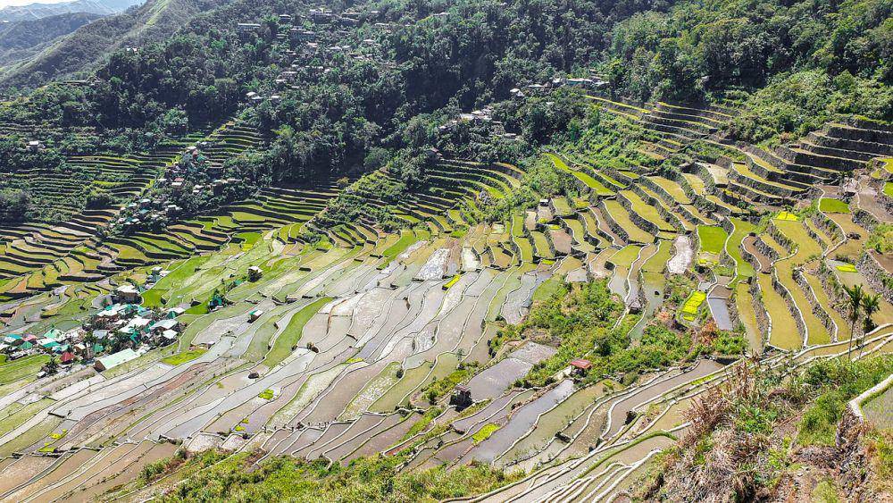 Banaue Rice Terraces (pixabay.com/kmarius)
