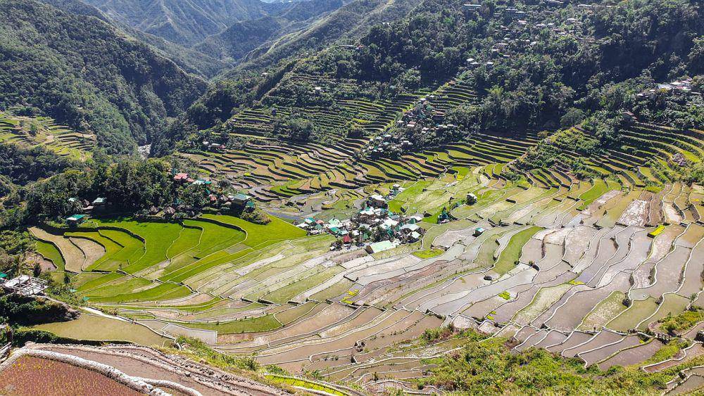 Banaue Rice Terraces (pixabay.com/kmarius)