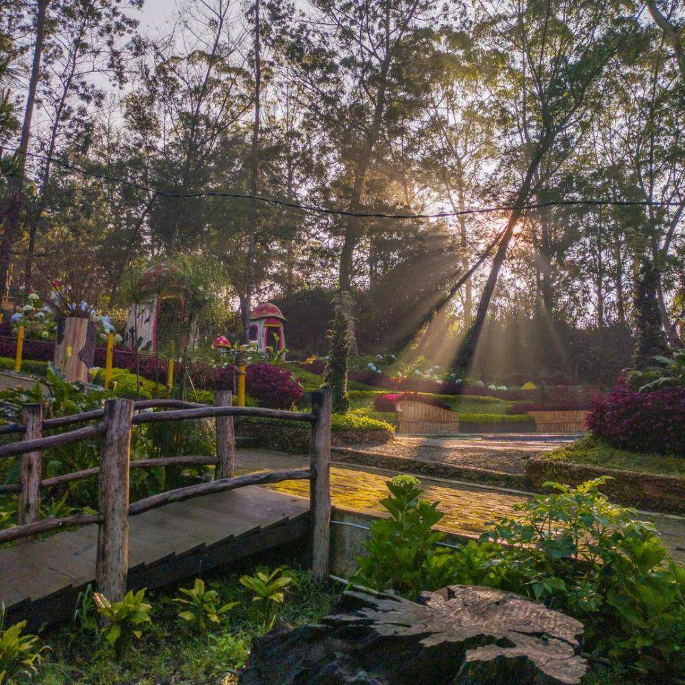 Dieng Park Wonosobo