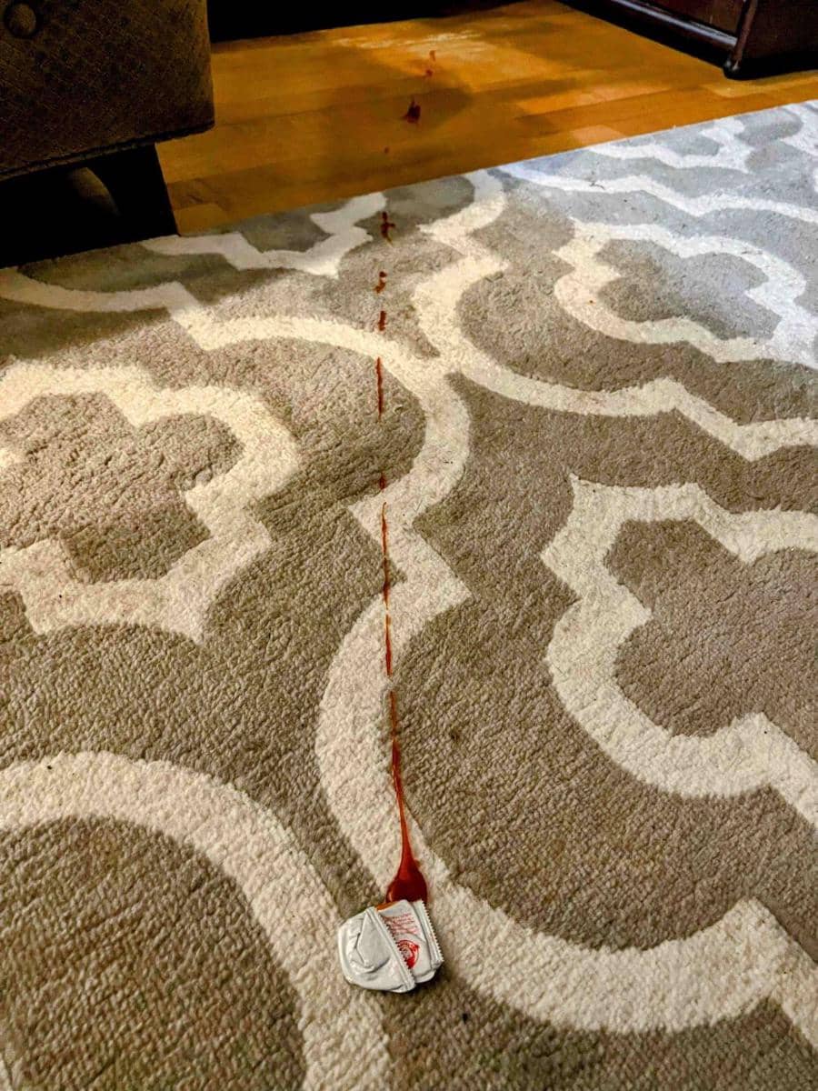 potret momen apes karena saus (reddit.com/user/contra31)