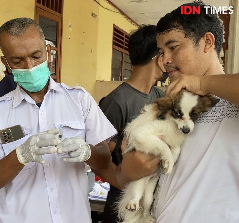 Antisipasi Penyakit Rabies, Ratusan Hewan Peliharaan Disuntik Vaksin