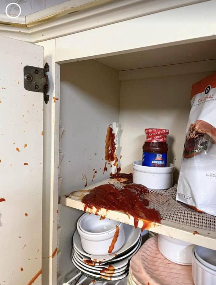 potret momen apes karena saus (reddit.com/user/Odd_Significance7949)