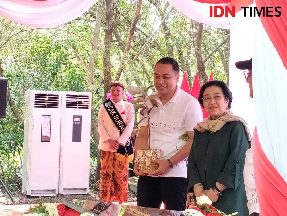 Megawati Resmikan Kebun Raya Mangrove Pertama di Indonesia