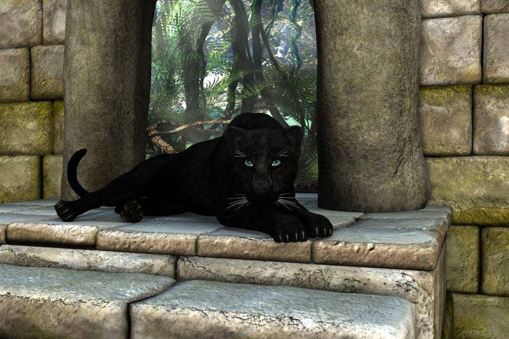 Macan kumbang (pixabay.com/SilviaP_Design)