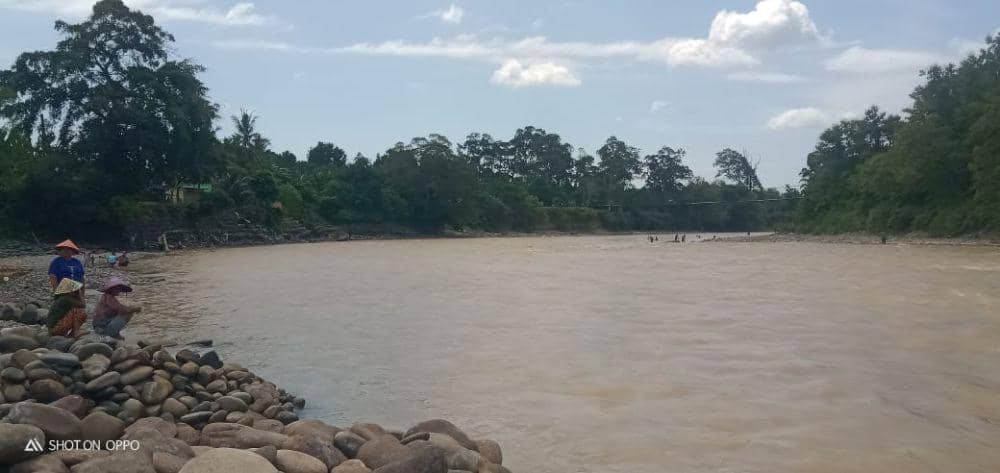 (Puluhan warga di Tebing Tinggi Kabupaten Empat Lawang saat turun ke sungai Musi menangkap ikan yang mabuk) IDN Times/istimewa