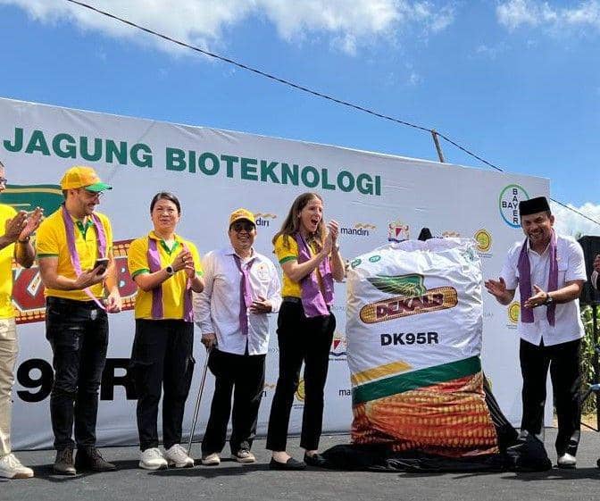 Peluncuran benih jagung bioteknologi komersial DK95R. (dok. Bayer)