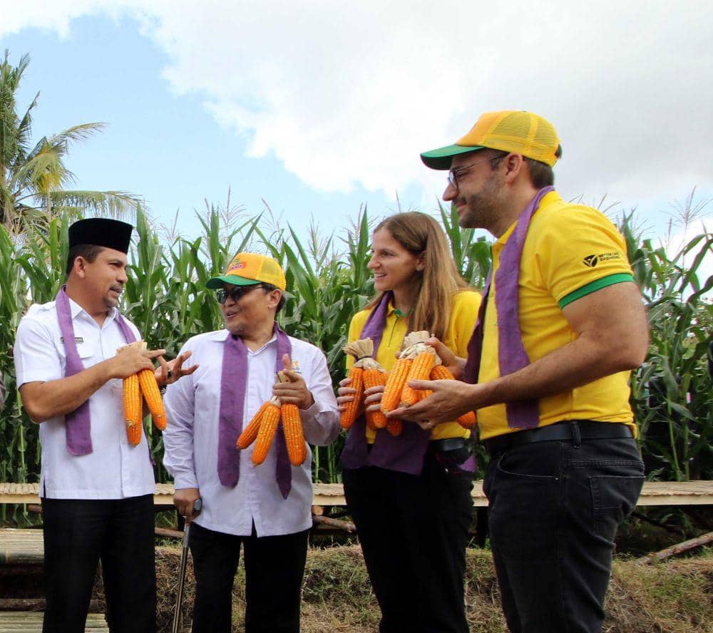 Panen Perdana Jagung DK95R, Pendapatan Petani NTB Berpotensi Naik