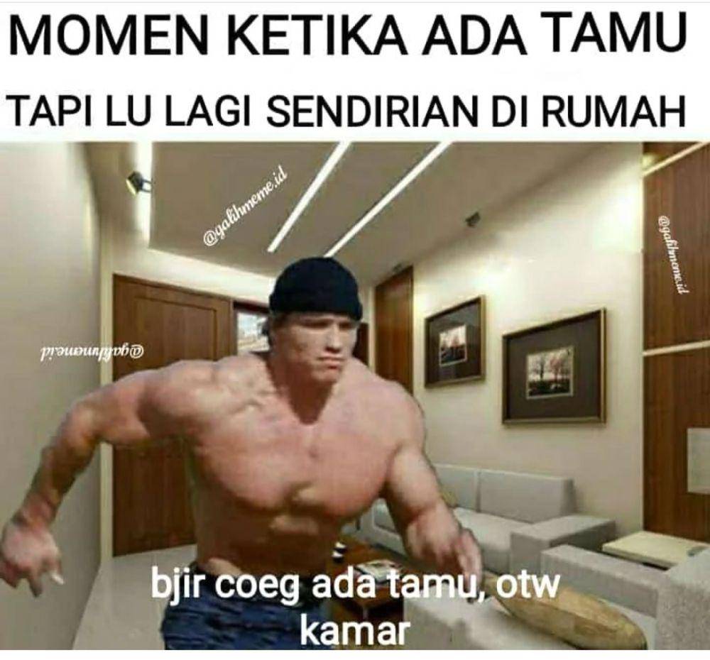 meme lari (instagram.com/shitmeme.ts)