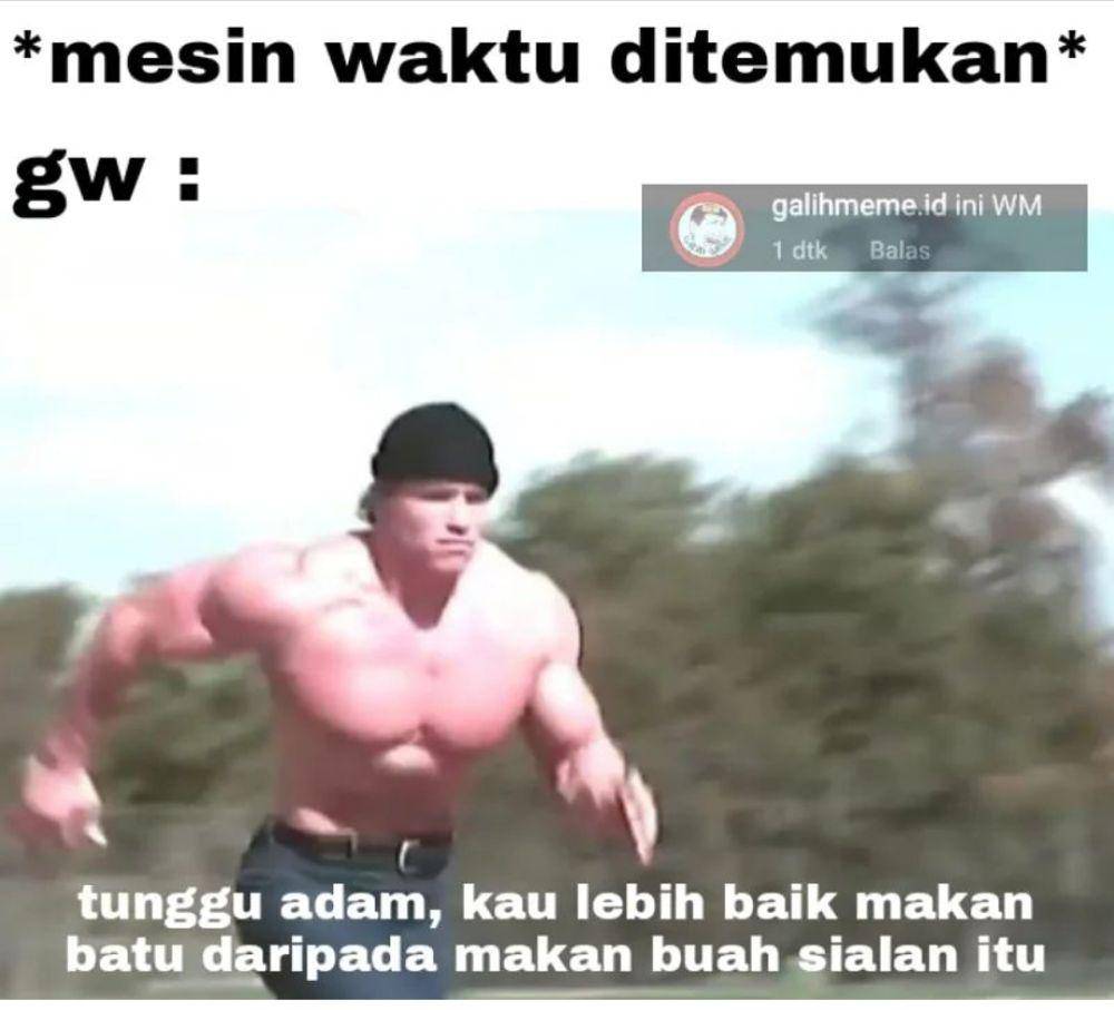 meme lari (instagram.com/shitmeme.ts)