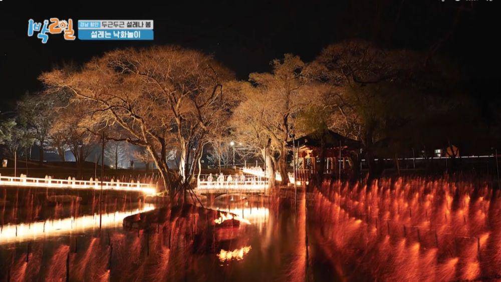 festival Nakhwa Nori di 2 Days & 1 Night (youtube.com/kbsworldtv)