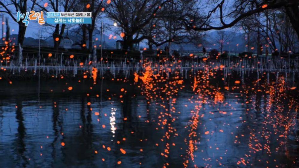 festival Nakhwa Nori di 2 Days & 1 Night (youtube.com/kbsworldtv)