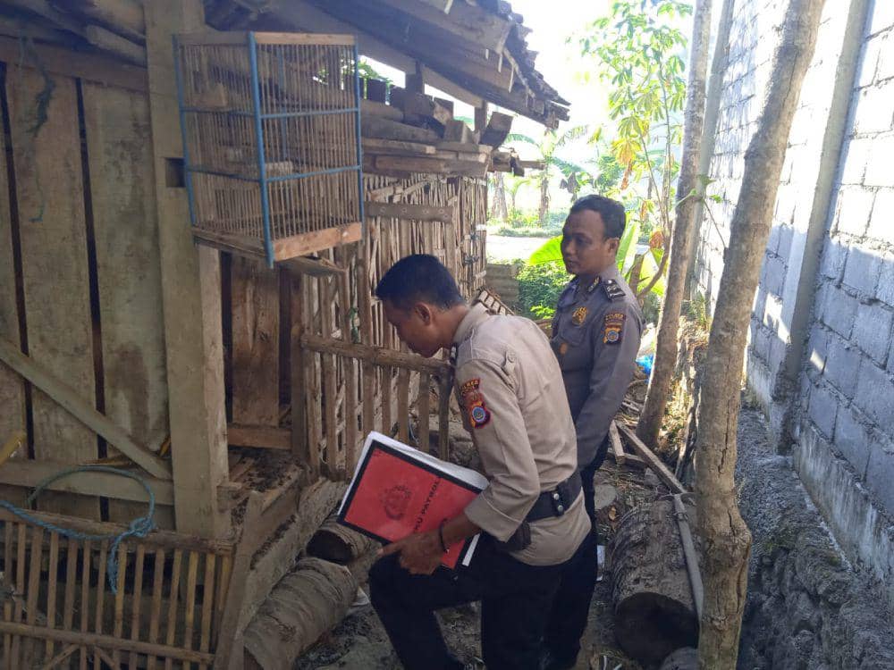 Polisi olah TKP pencurian kambing di Imogiri. (Dok. Polres Bantul)
