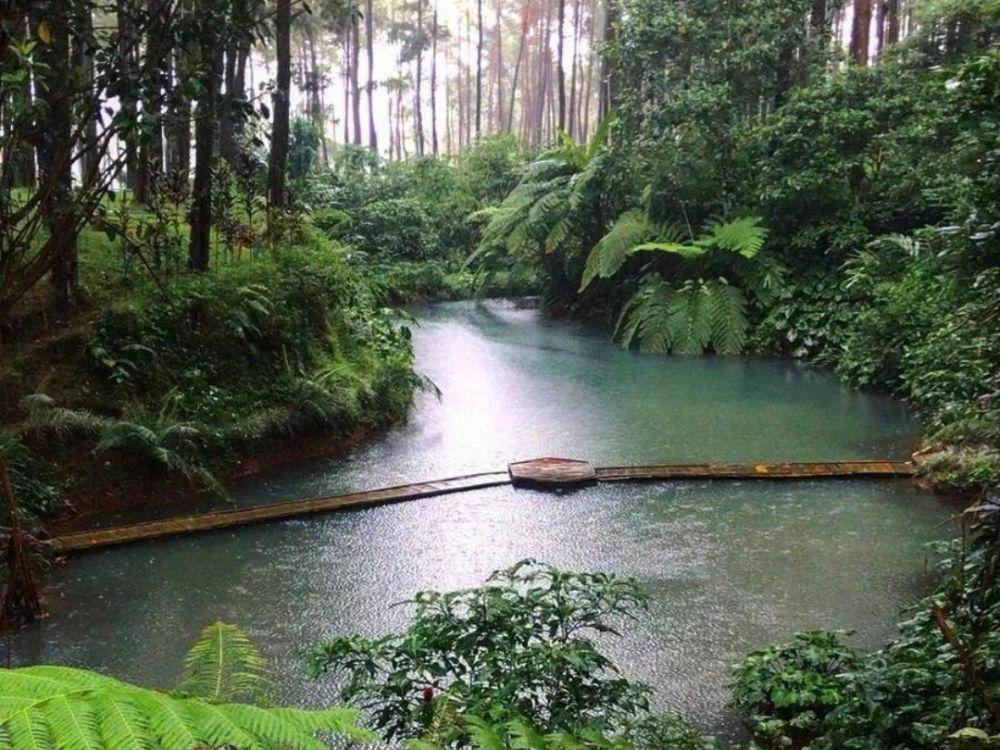 9 Pesona Wisata Prabanlintang, Spot Foto di Kawasan Hutan Pinus
