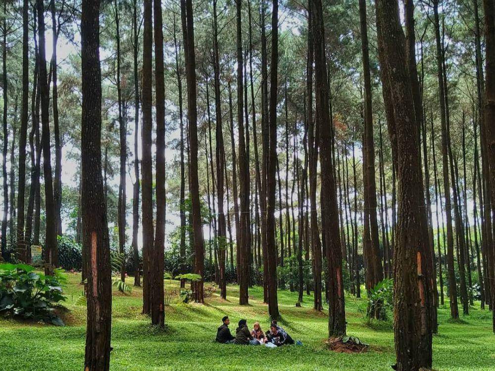 Wisata Prabanlintang Tegal(instagram.com/prabanlintangtegal)