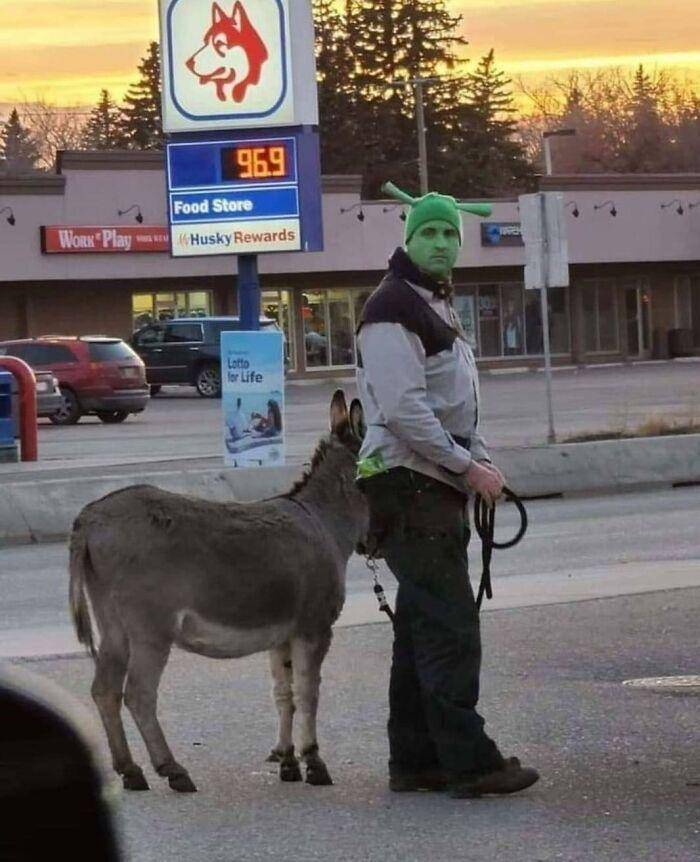 potret kostum dan tingkah nyeleneh orang super random (facebook.com/Humans doing human things)