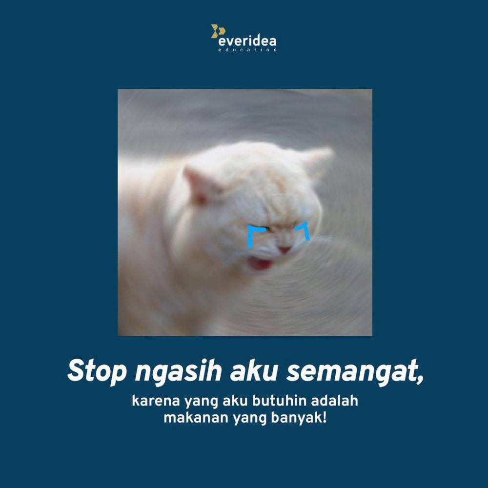 meme kocak gak mau dikasih semangat (instagram.com/everideaeducation)