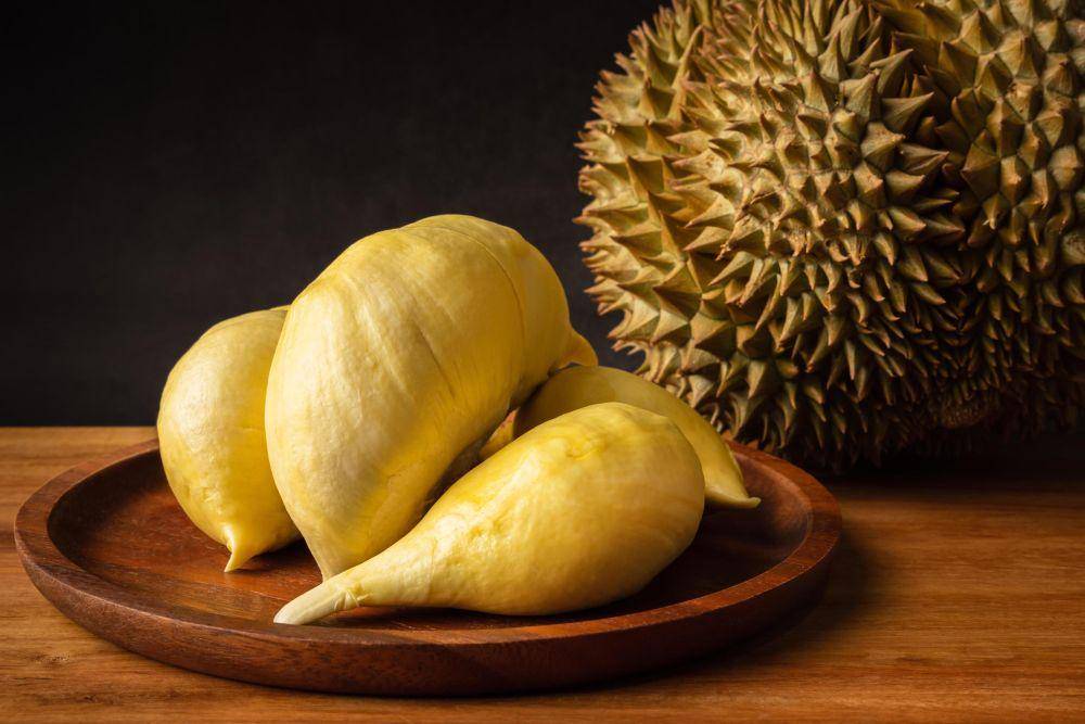 ilustrasi buah durian (vecteezy.com/chidchanika199451691)