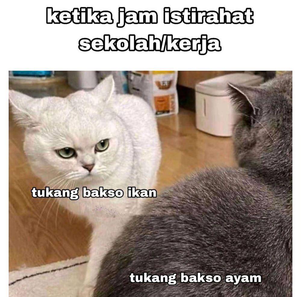 meme saling tatap (instagram.com/haresh.novaryandi)