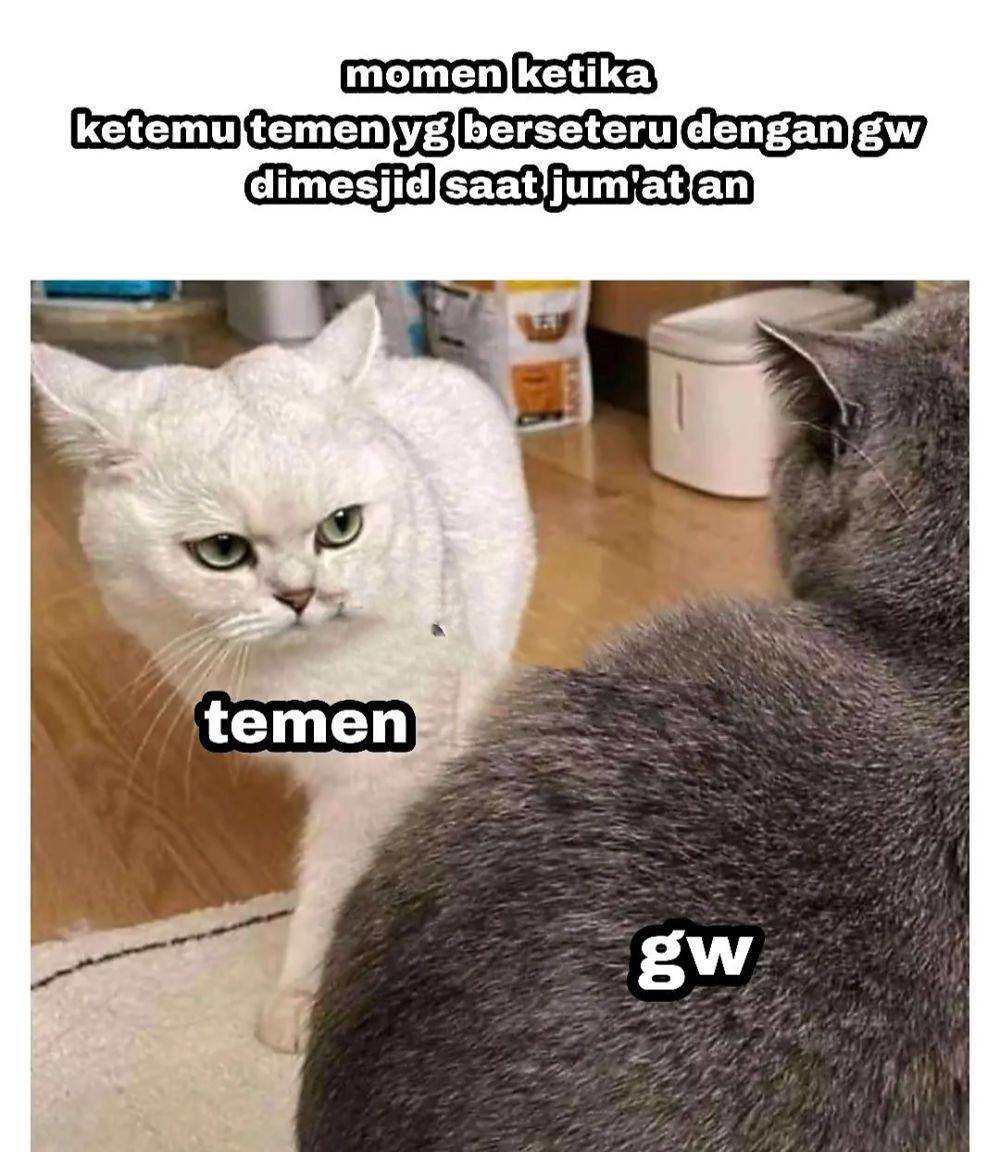 meme saling tatap (instagram.com/haresh.novaryandi)
