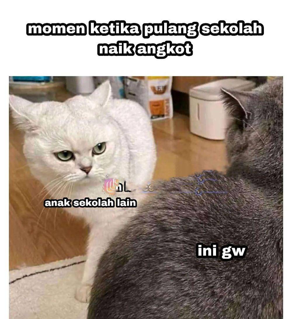 meme saling tatap (instagram.com/haresh.novaryandi)