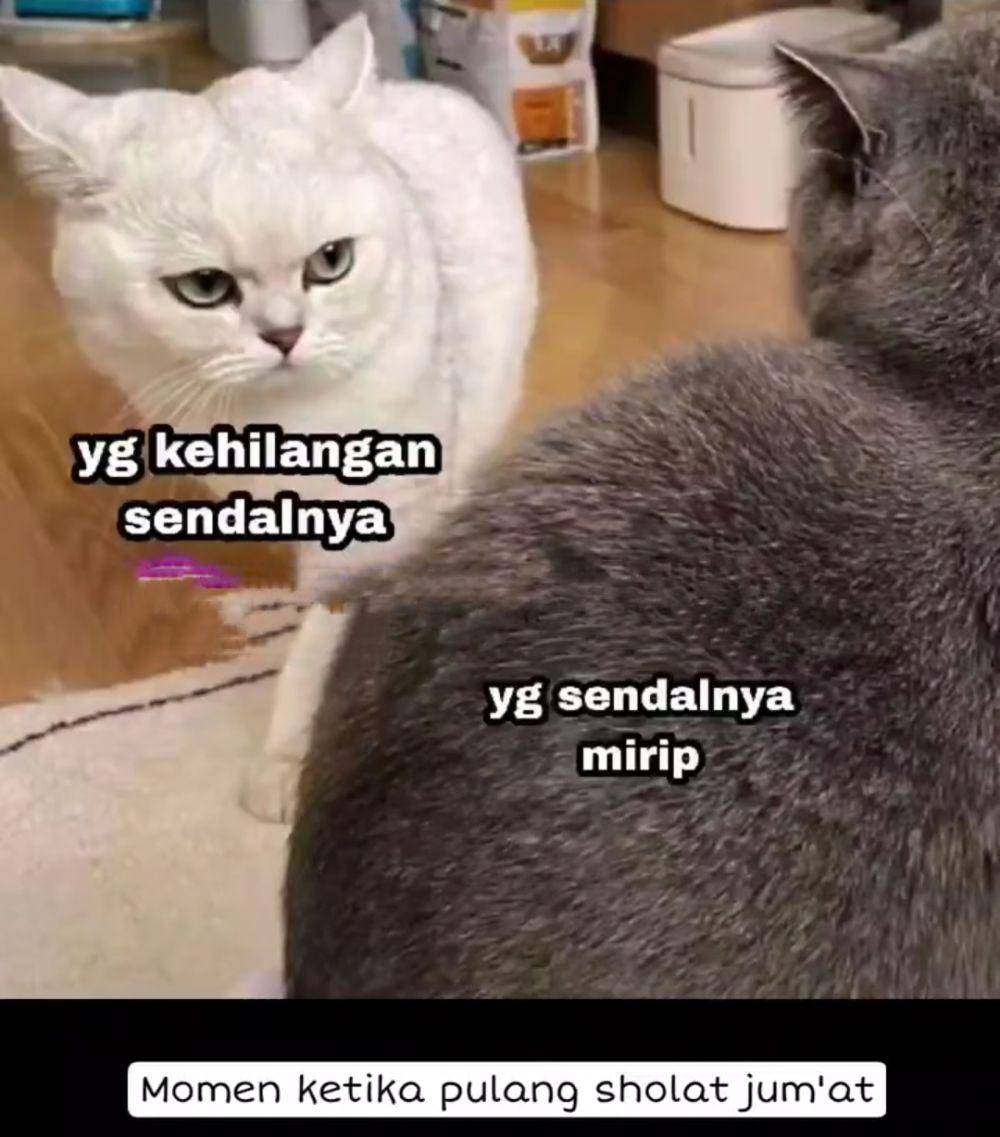 meme saling tatap (instagram.com/haresh.novaryandi)