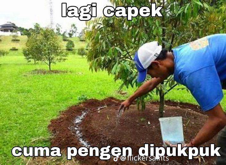 meme benar tapi salah (twitter.com/jehoonnnn)