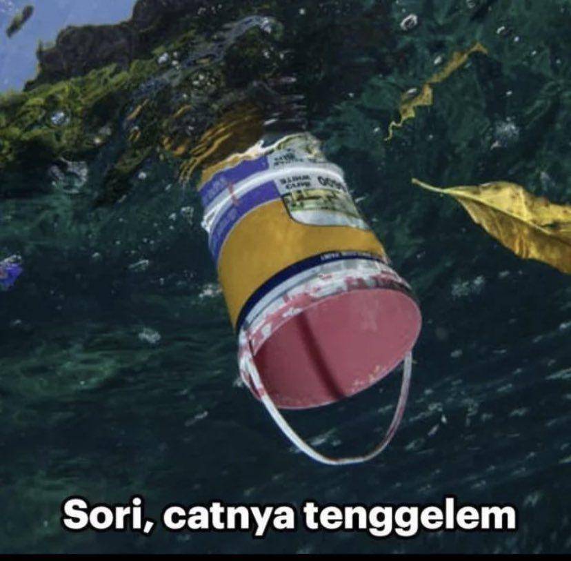 meme benar tapi salah (twitter.com/aeruditesite)
